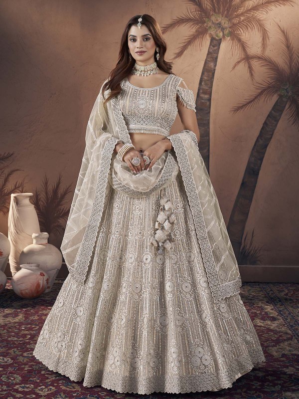 Light Chiku Premium Net Lehenga Choli